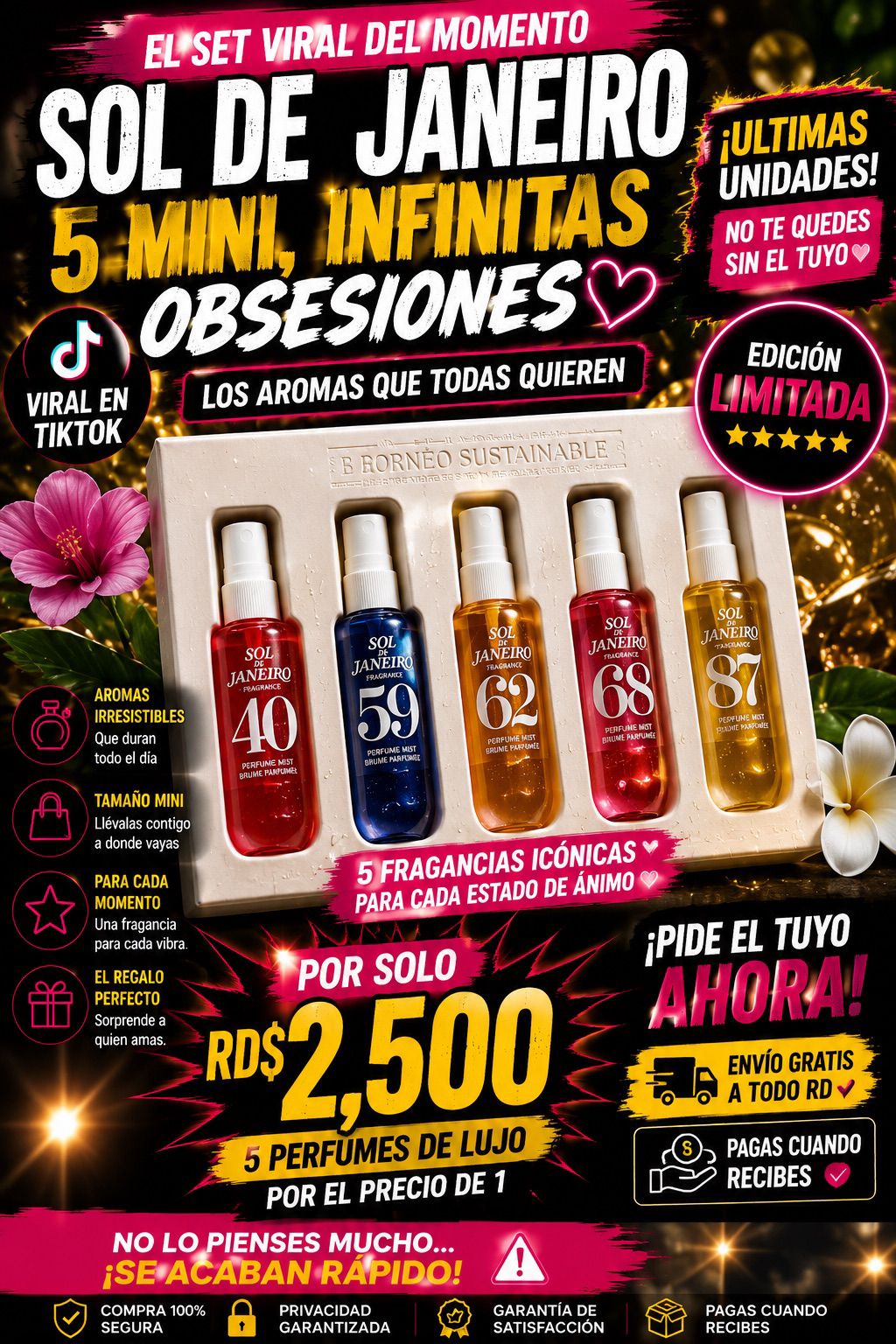 Rio Glow Collection 🌺